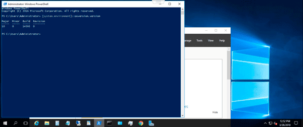 sewa vps windows server