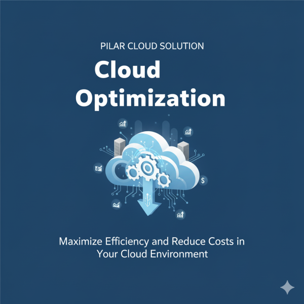 Cloud Optimization